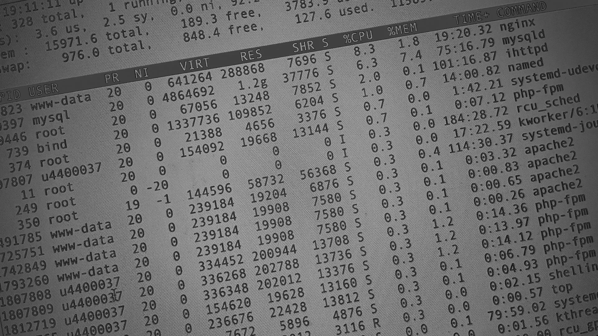 Настройка сервера в Велиже