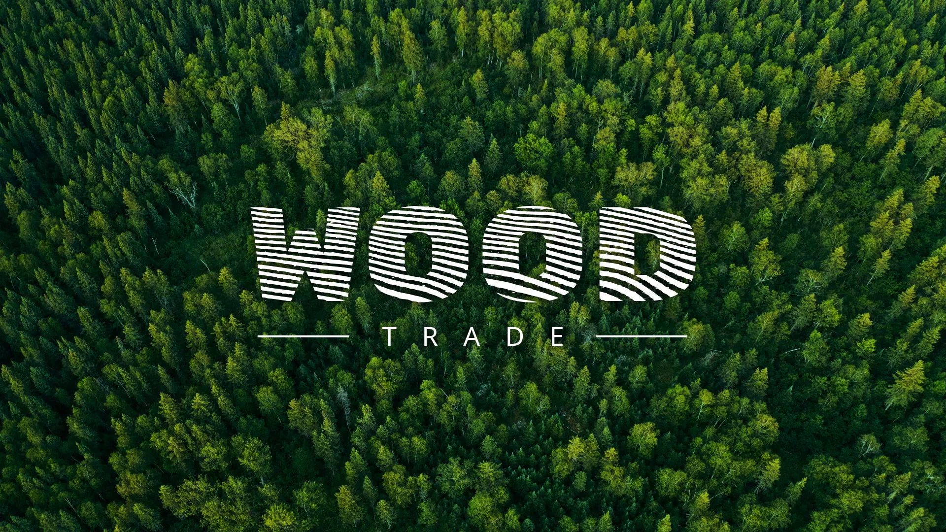 Разработка интернет-магазина компании «Wood Trade» в Велиже