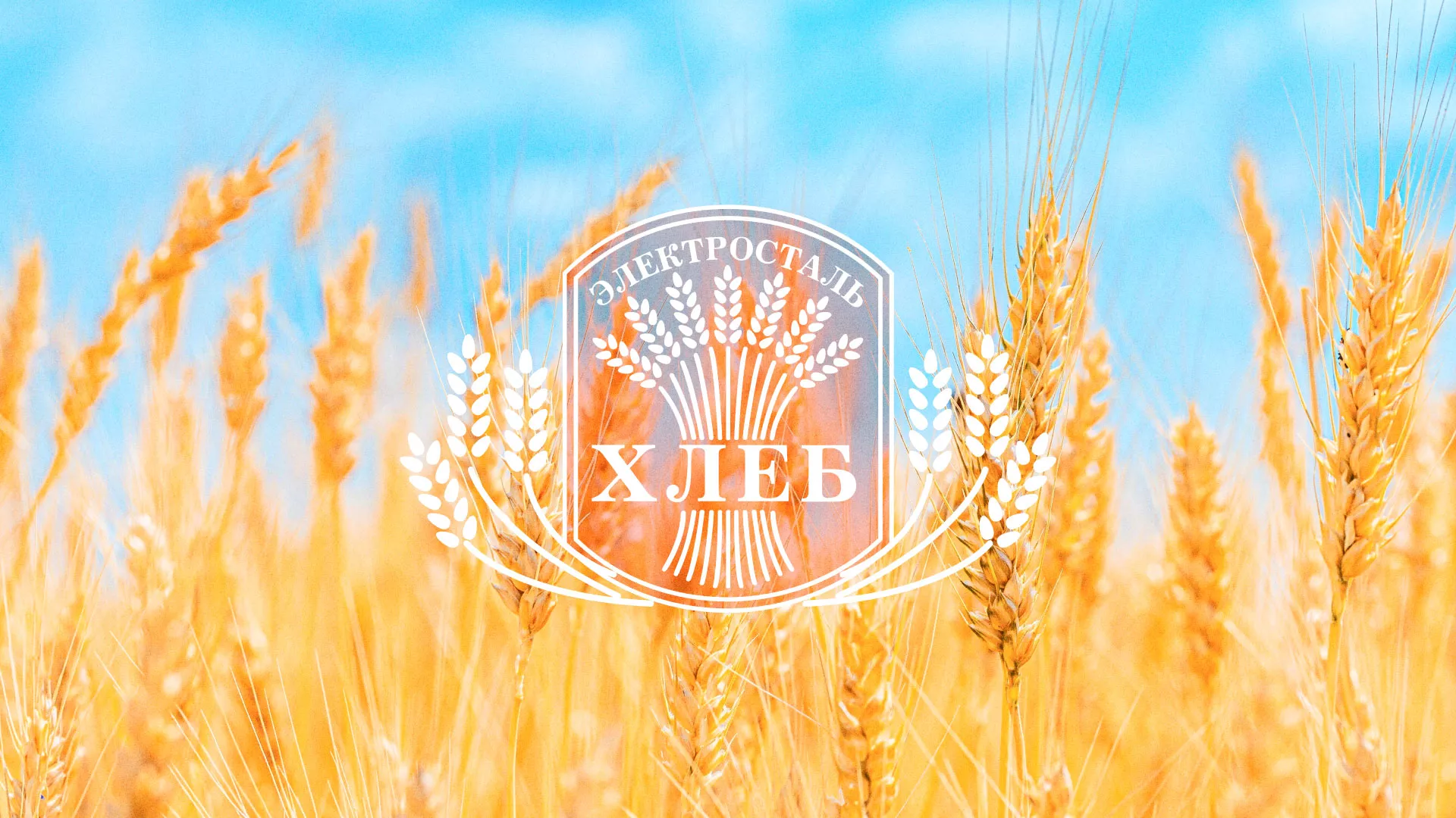 Создание сайта для хлебзавода в Велиже